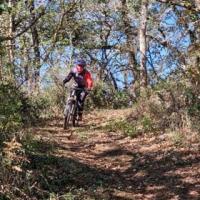 2023 vtt 10 