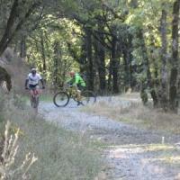 2023 vtt 104 