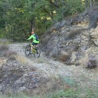 2023 vtt 113 