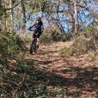 2023 vtt 12 