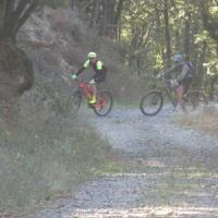 2023 vtt 137 