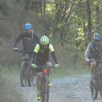 2023 vtt 138 