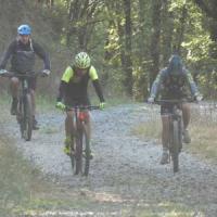 2023 vtt 139 