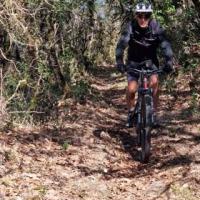 2023 vtt 14 