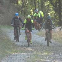 2023 vtt 140 