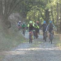 2023 vtt 142 