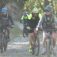 2023 vtt 145 