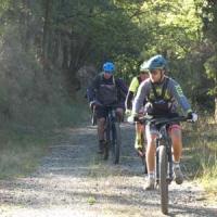 2023 vtt 146 