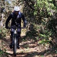 2023 vtt 15 