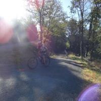 2023 vtt 153 