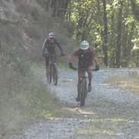 2023 vtt 156 