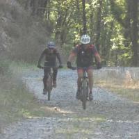 2023 vtt 157 