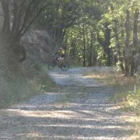 2023 vtt 167 