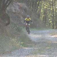 2023 vtt 168 