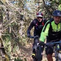 2023 vtt 17 