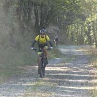 2023 vtt 173 