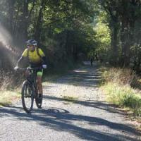 2023 vtt 175 