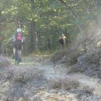 2023 vtt 180 
