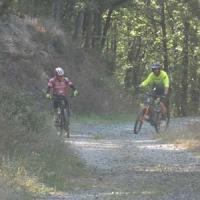 2023 vtt 181 