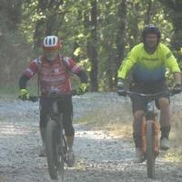 2023 vtt 184 