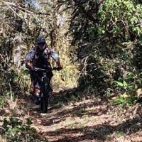 2023 vtt 19 
