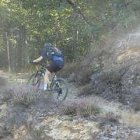 2023 vtt 202 