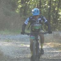 2023 vtt 203 