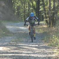 2023 vtt 204 