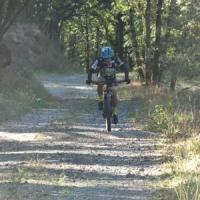 2023 vtt 205 