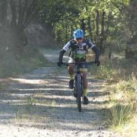 2023 vtt 207 