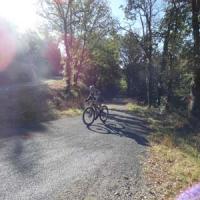 2023 vtt 208 