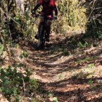 2023 vtt 21 