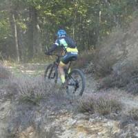 2023 vtt 210 