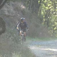 2023 vtt 212 
