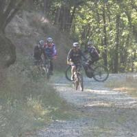 2023 vtt 213 