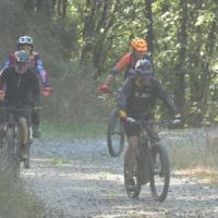 2023 vtt 214 