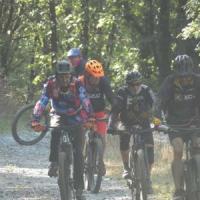 2023 vtt 216 