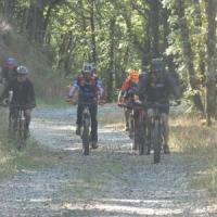 2023 vtt 217 