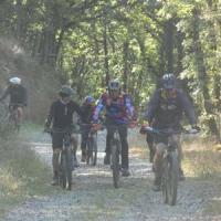 2023 vtt 218 