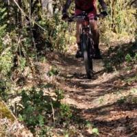 2023 vtt 22 