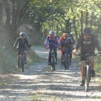 2023 vtt 221 