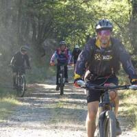 2023 vtt 223 