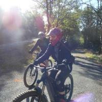 2023 vtt 228 