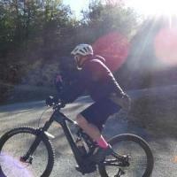 2023 vtt 229 