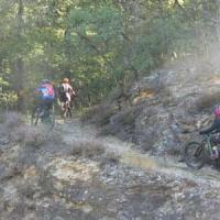 2023 vtt 230 