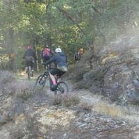 2023 vtt 231 