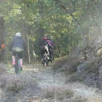 2023 vtt 232 