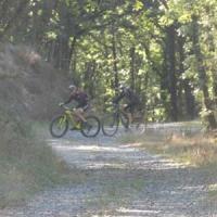 2023 vtt 233 