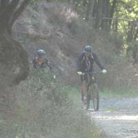 2023 vtt 234 