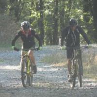 2023 vtt 236 